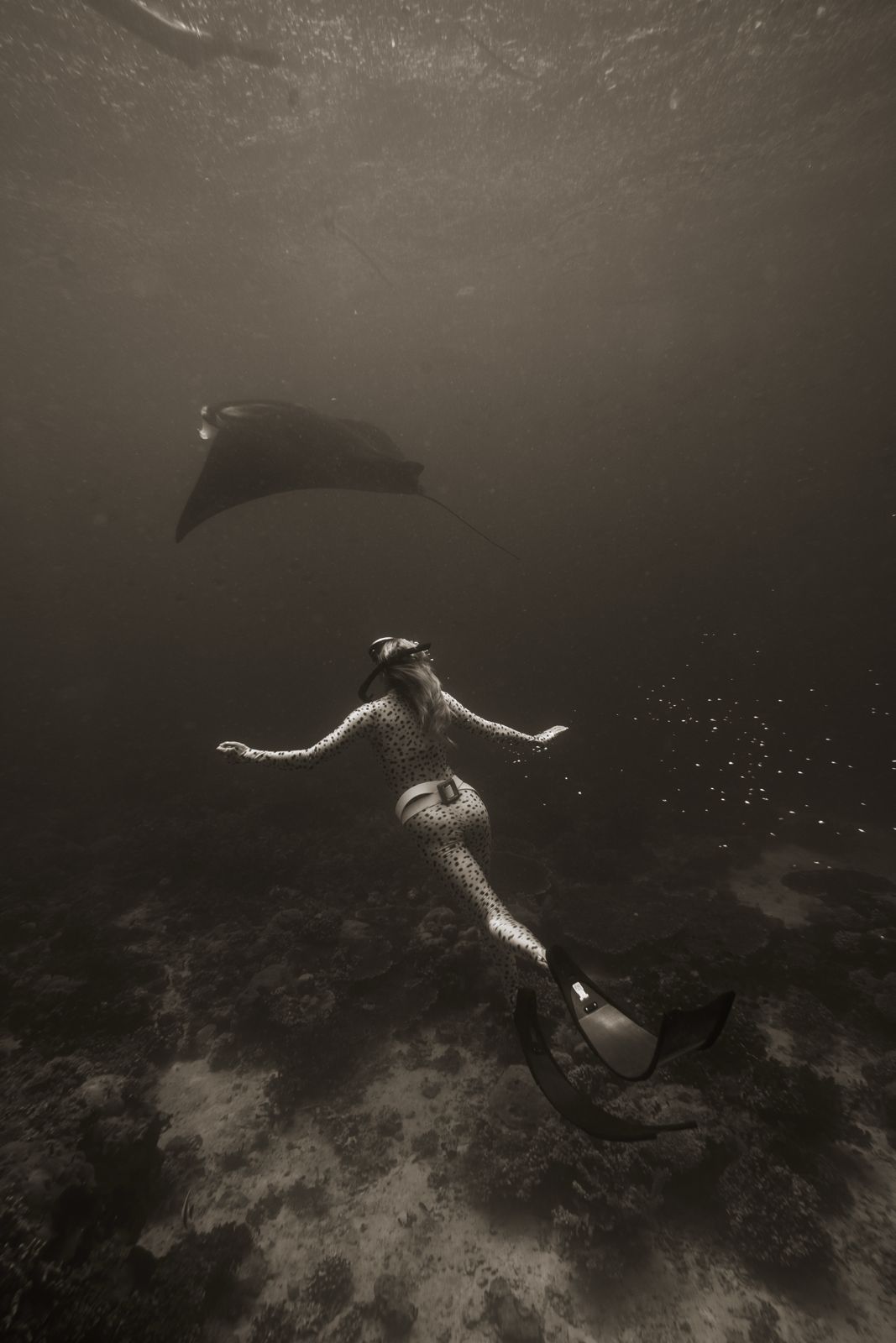 Derawan gallery 4